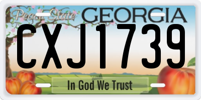 GA license plate CXJ1739