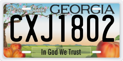 GA license plate CXJ1802