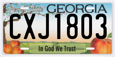 GA license plate CXJ1803