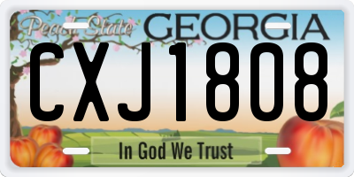 GA license plate CXJ1808
