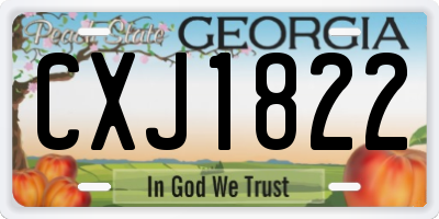 GA license plate CXJ1822