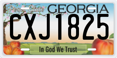 GA license plate CXJ1825