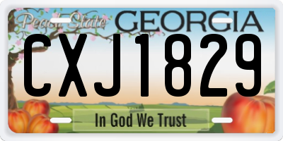 GA license plate CXJ1829