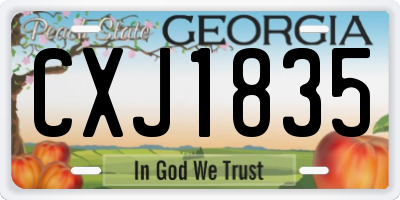 GA license plate CXJ1835
