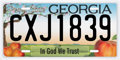 GA license plate CXJ1839