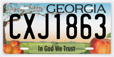 GA license plate CXJ1863