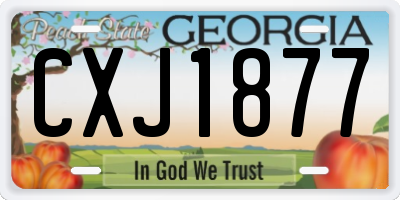 GA license plate CXJ1877