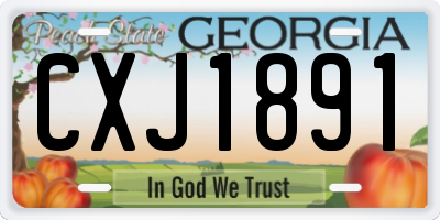 GA license plate CXJ1891