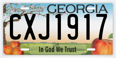 GA license plate CXJ1917