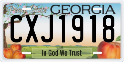 GA license plate CXJ1918