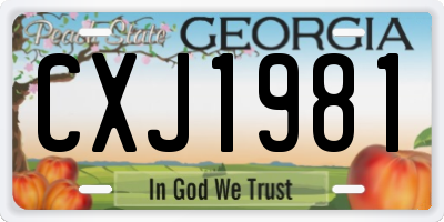 GA license plate CXJ1981