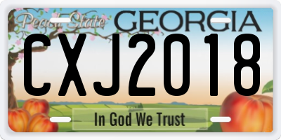 GA license plate CXJ2018