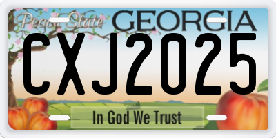 GA license plate CXJ2025