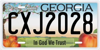 GA license plate CXJ2028