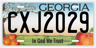 GA license plate CXJ2029