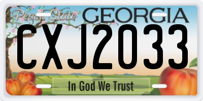 GA license plate CXJ2033