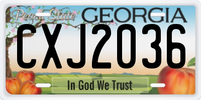 GA license plate CXJ2036