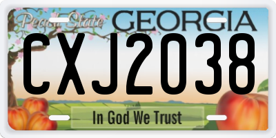 GA license plate CXJ2038