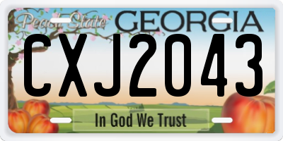 GA license plate CXJ2043