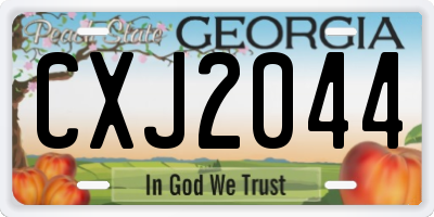 GA license plate CXJ2044
