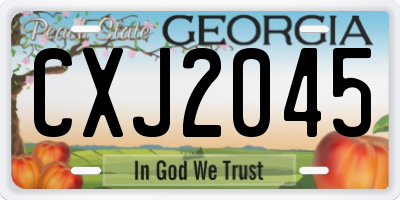 GA license plate CXJ2045