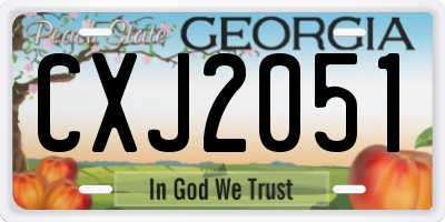 GA license plate CXJ2051