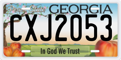 GA license plate CXJ2053
