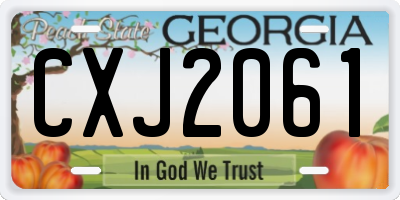 GA license plate CXJ2061