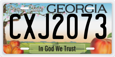 GA license plate CXJ2073