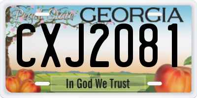 GA license plate CXJ2081