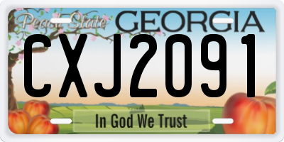 GA license plate CXJ2091