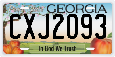 GA license plate CXJ2093