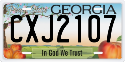 GA license plate CXJ2107