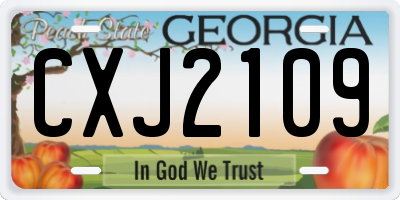 GA license plate CXJ2109