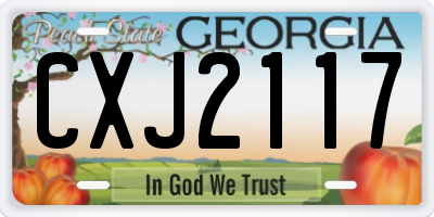 GA license plate CXJ2117