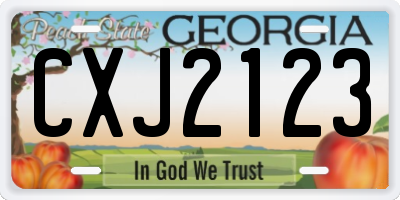 GA license plate CXJ2123