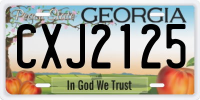 GA license plate CXJ2125