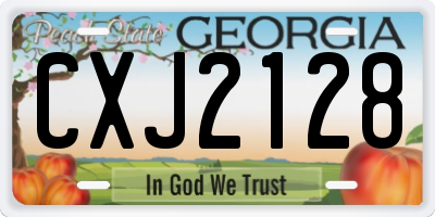 GA license plate CXJ2128