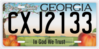 GA license plate CXJ2133