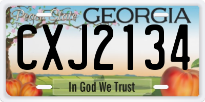 GA license plate CXJ2134