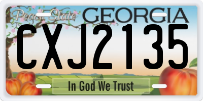 GA license plate CXJ2135