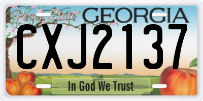 GA license plate CXJ2137