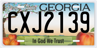 GA license plate CXJ2139