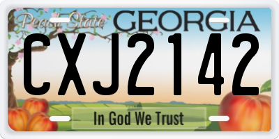 GA license plate CXJ2142