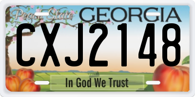GA license plate CXJ2148