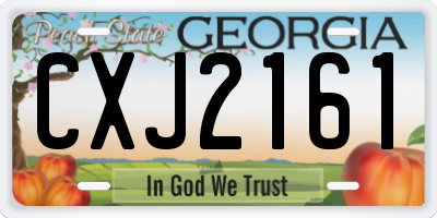 GA license plate CXJ2161
