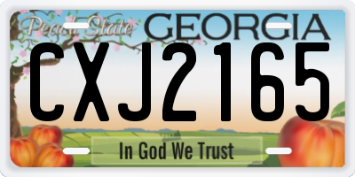 GA license plate CXJ2165