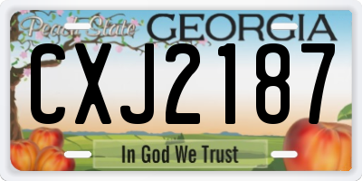 GA license plate CXJ2187