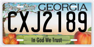 GA license plate CXJ2189