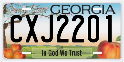 GA license plate CXJ2201